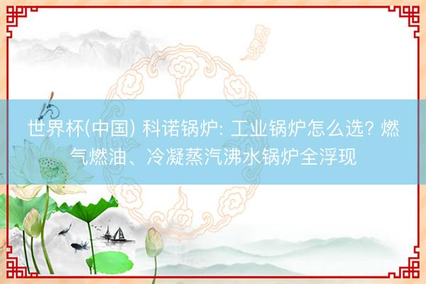 世界杯(中国) 科诺锅炉: 工业锅炉怎么选? 燃气燃油、冷凝蒸汽沸水锅炉全浮现