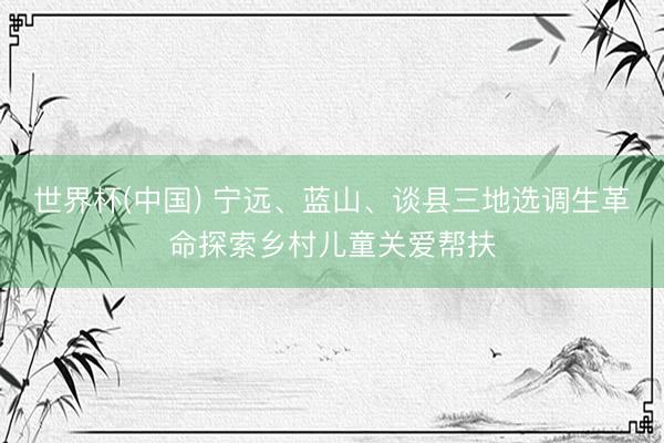 世界杯(中国) 宁远、蓝山、谈县三地选调生革命探索乡村儿童关爱帮扶