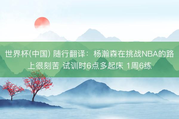 世界杯(中国) 随行翻译：杨瀚森在挑战NBA的路上很刻苦 试训时6点多起床 1周6练