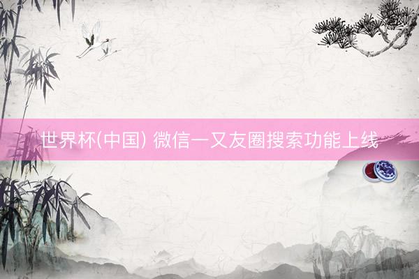 世界杯(中国) 微信一又友圈搜索功能上线
