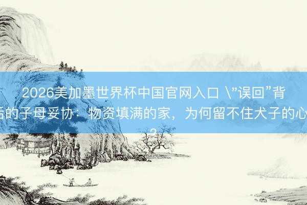 2026美加墨世界杯中国官网入口 