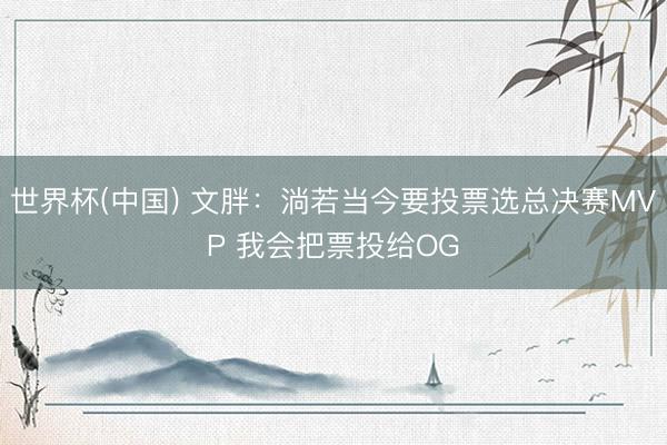 世界杯(中国) 文胖：淌若当今要投票选总决赛MVP 我会把票投给OG