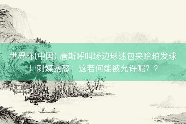 世界杯(中国) 唐斯呼叫场边球迷包夹哈珀发球！刺媒暴怒：这若何能被允许呢？？