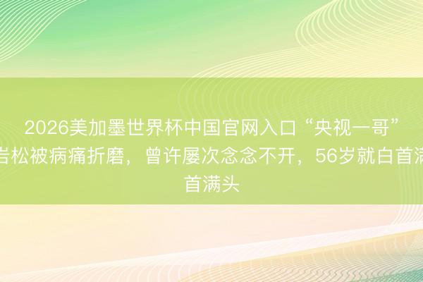 2026美加墨世界杯中国官网入口 “央视一哥”白岩松被病痛折磨，曾许屡次念念不开，56岁就白首满头