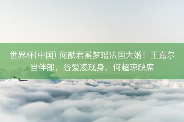 世界杯(中国) 何猷君奚梦瑶法国大婚！王嘉尔当伴郎，谷爱凌现身，何超琼缺席