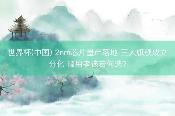 世界杯(中国) 2nm芯片量产落地 三大旗舰成立分化 滥用者该若何选?