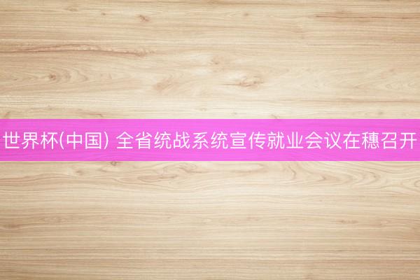 世界杯(中国) 全省统战系统宣传就业会议在穗召开